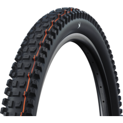 Schwalbe Albert Trail Pro